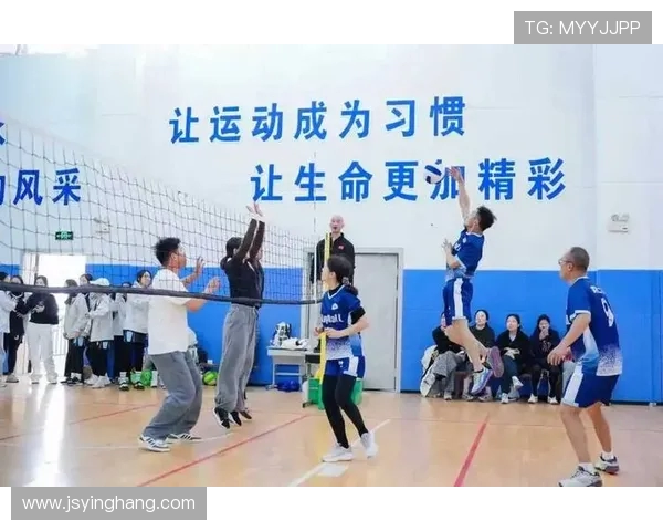 广州排球队的拼搏之路挑战赛特别报道展现奋斗精神与团队力量