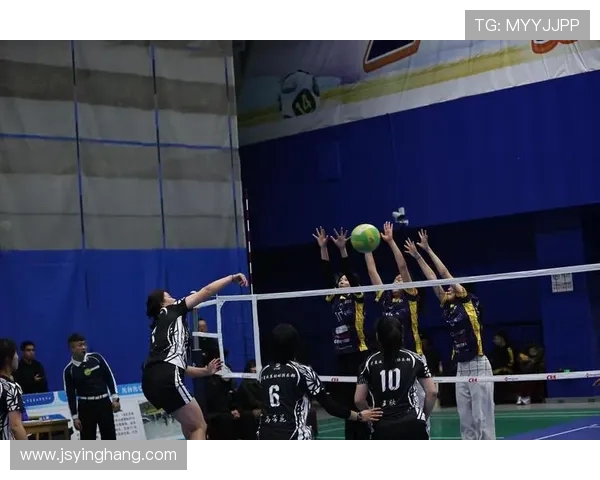 排球热点：解读武汉排球队的防反