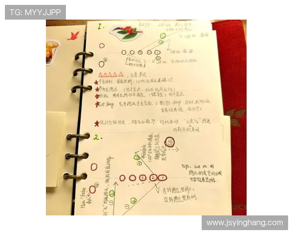 飞盘战术全解析从基础到进阶的全面攻略与实战技巧分享