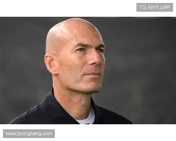 齐内丁齐达内的传奇生涯与他如何以智慧与激情改变世界足球格局